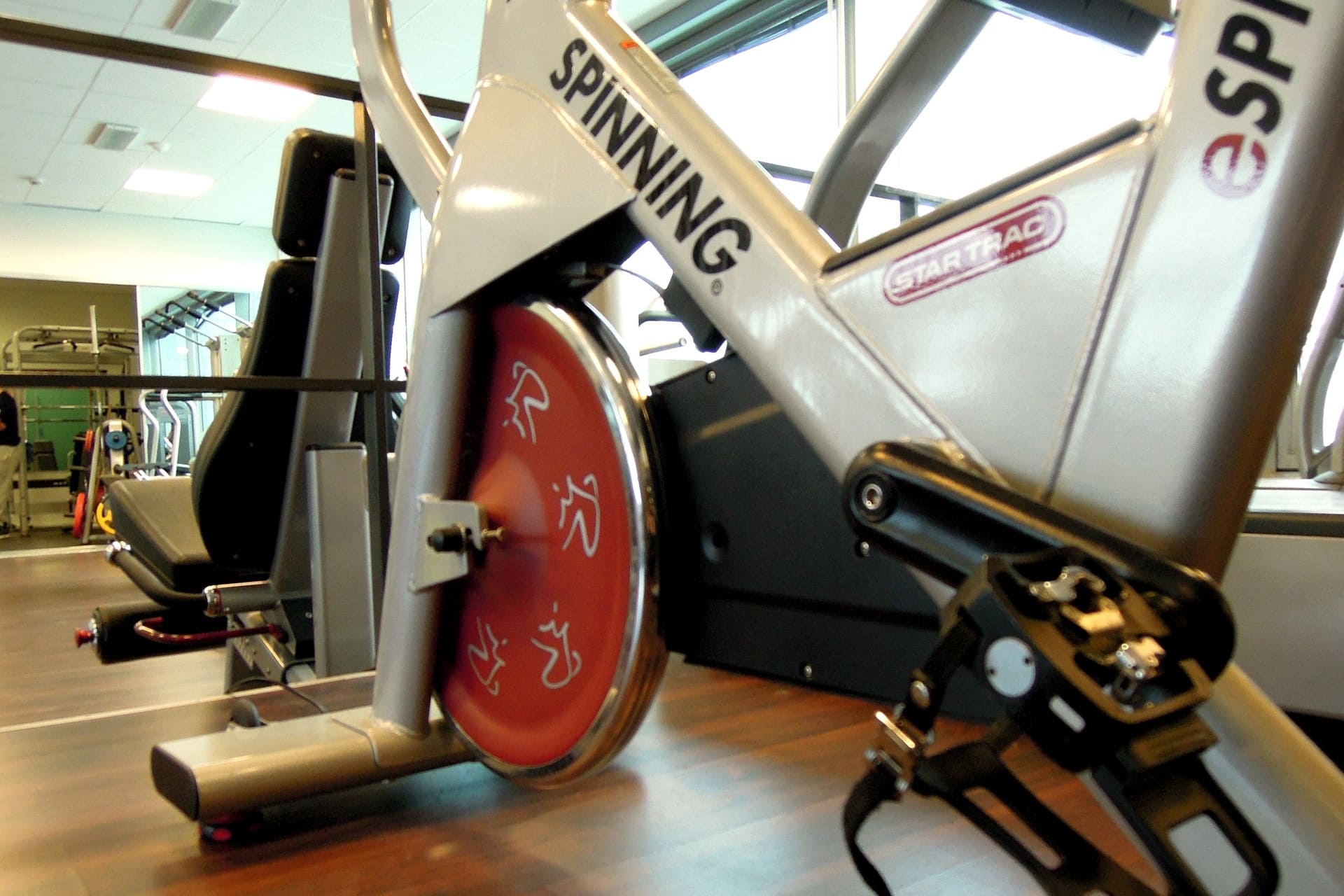 palestra_olympia_spinning1